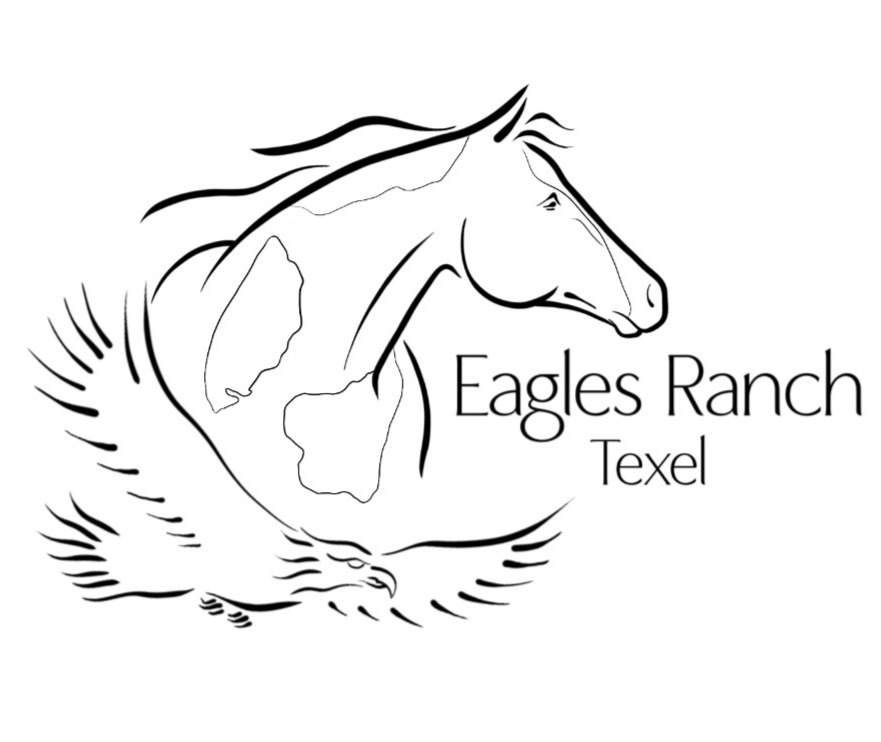 De Eagles Ranch — photo 2
