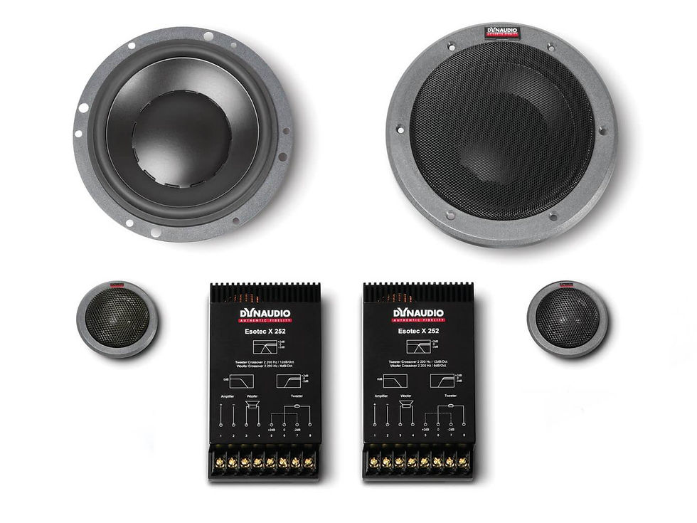 Dynaudio esotec 242 GT