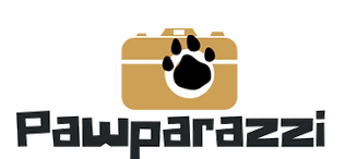 imageedit_6_4804331883.png