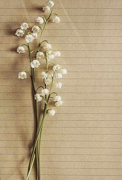 flowers.jpeg