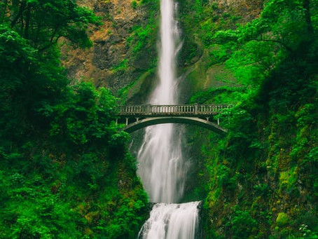 "ebb and flow," Poetry by Holly Berry