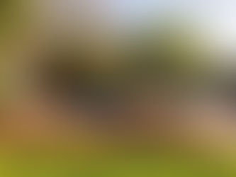 חידוש דק איפאה - מחיר משתלם וחיסכון עתידי