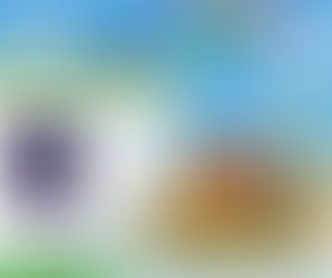 DIDACTA Firenze - 11/13 Marzo 2026