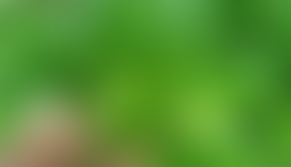 What Makes Omusongola Powder Unique: Exploring Its Exceptional Health Benefits