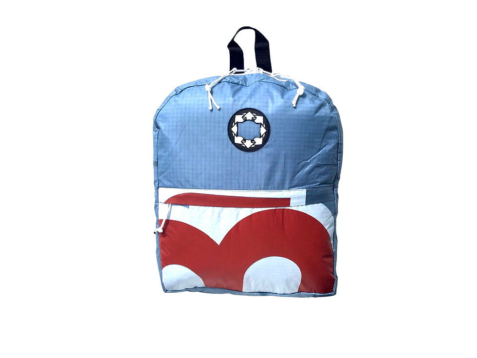 Backpack/Laptop Bag