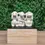 Miniatura: Escultura Macacos em Cimento 18x8x12cm Mart Collection