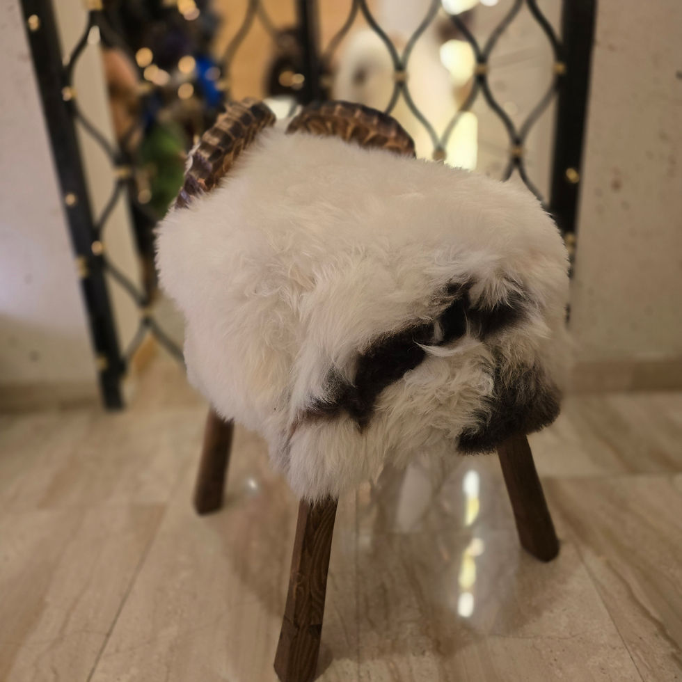 Miniaturbild: Mufflon "Hansl"