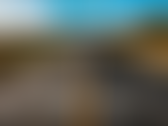 Risk and Insurance Outlook