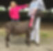 zuri logansport 2018_edited_edited_edited.jpg