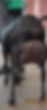 thumbnail_edited.jpg