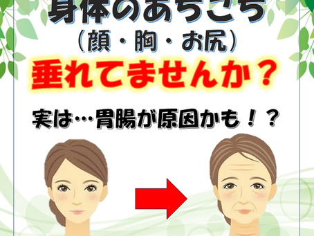 身体の垂れは胃腸が原因⁉