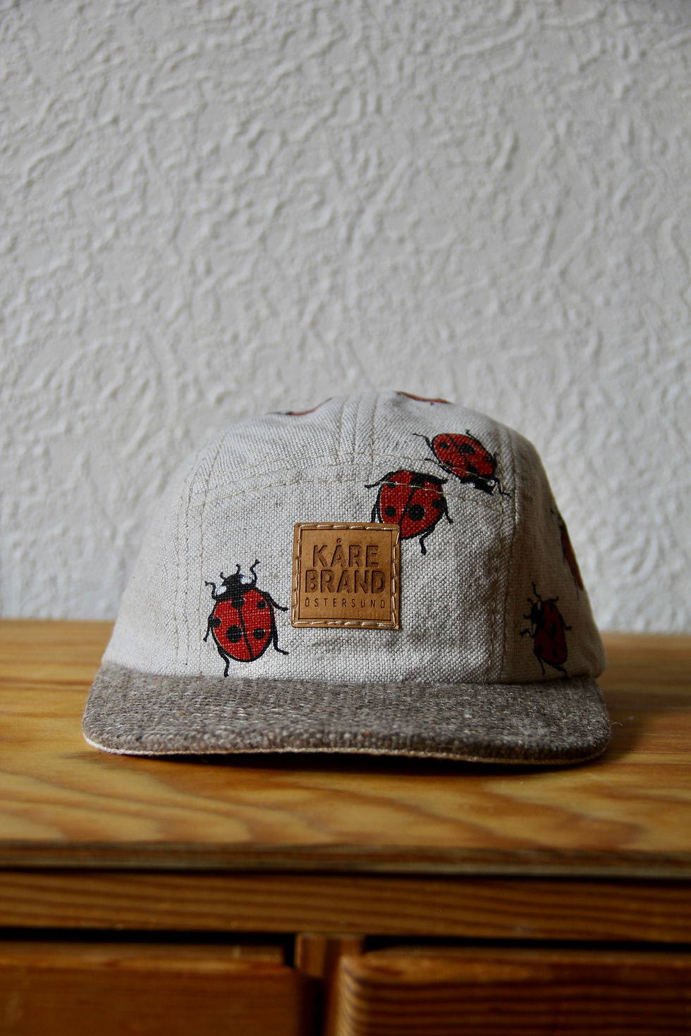 Miniatyrbild: Ladybug