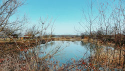 3D2DFB69-8C16-42BF-BBBB-D755AA0B933A