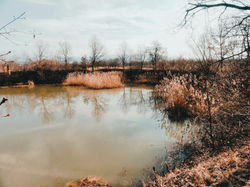 189256FE-7229-4363-BEE5-C3D2415B9AB9