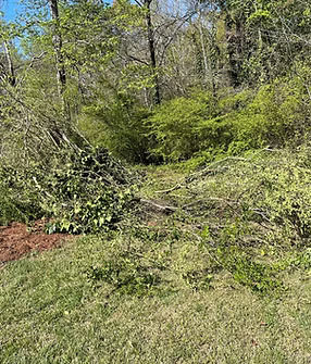 brush cleaning georgia
