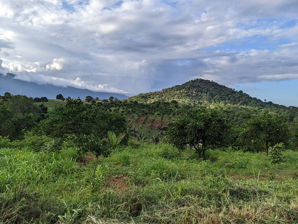 Rural Tanzania at its finest (Credit: FLUSH/K Worsham)