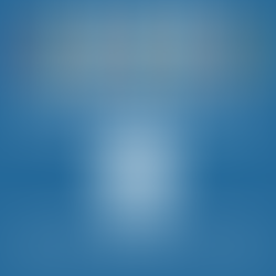 Celebrate World Toilet Day (and beyond) Online!