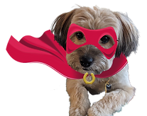 Super Flush Pup