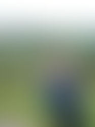 Upskilling with FLUSH