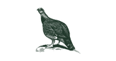 Untitled design (20).png