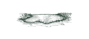 Untitled design (21).png