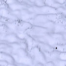 Ice 0099.jpg