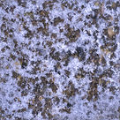 Ice 0089.jpg