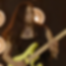 Screen Shot 2022-06-15 at 2.53.19 PM.png