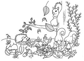 Herbst box.jpg