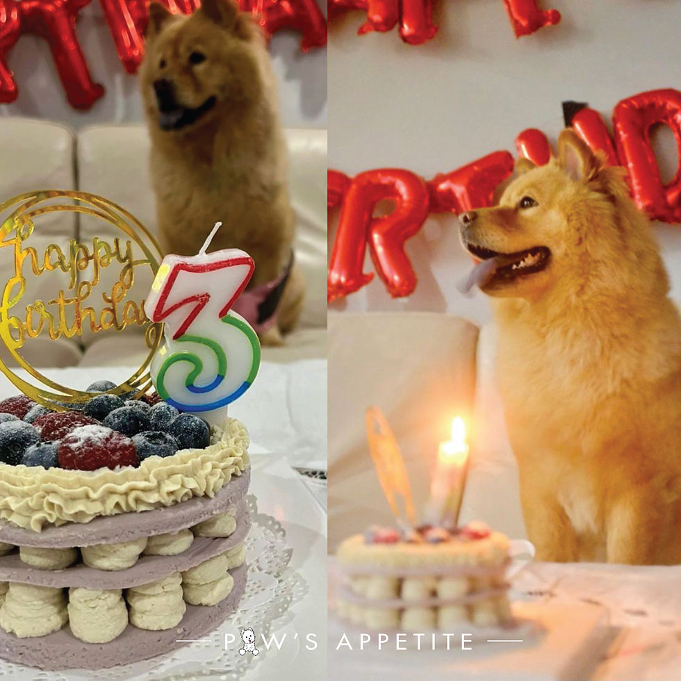 Thumbnail: Berry Garden dog cake, perfect berries associated dog birthday cake for your dog's birthday by Paw's Appetite