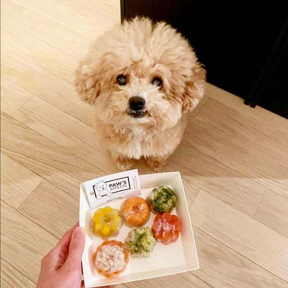Thumbnail: Paw's Appetite Mini Signature Pet Jelly Dog Treats