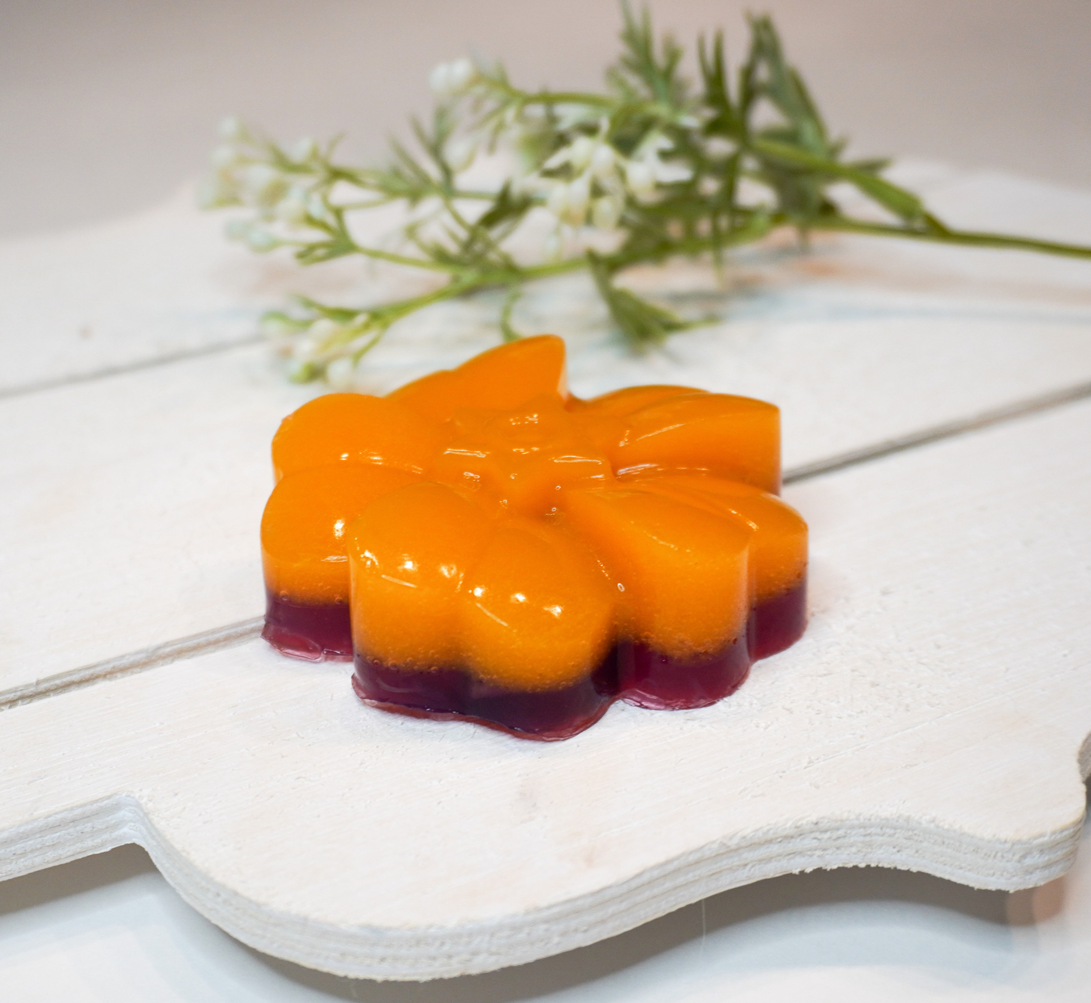 Paw's Appetite Signature Pet Jelly - 1 Piece Dog Treats