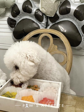 Paw's Appetite's Dog Birthday Signature Pet Jelly Treats