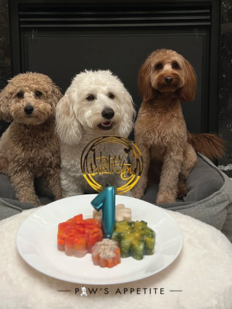 Paw's Appetite's Dog Birthday Signature Pet Jelly Treats