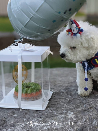 Paw's Appetite's Dog Birthday Cake, Broccoli, carrot and chicken flavour