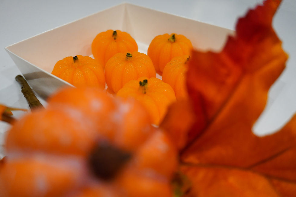 Thumbnail: Paw's Appetite Mini Pet Pumpkin Dog Treats