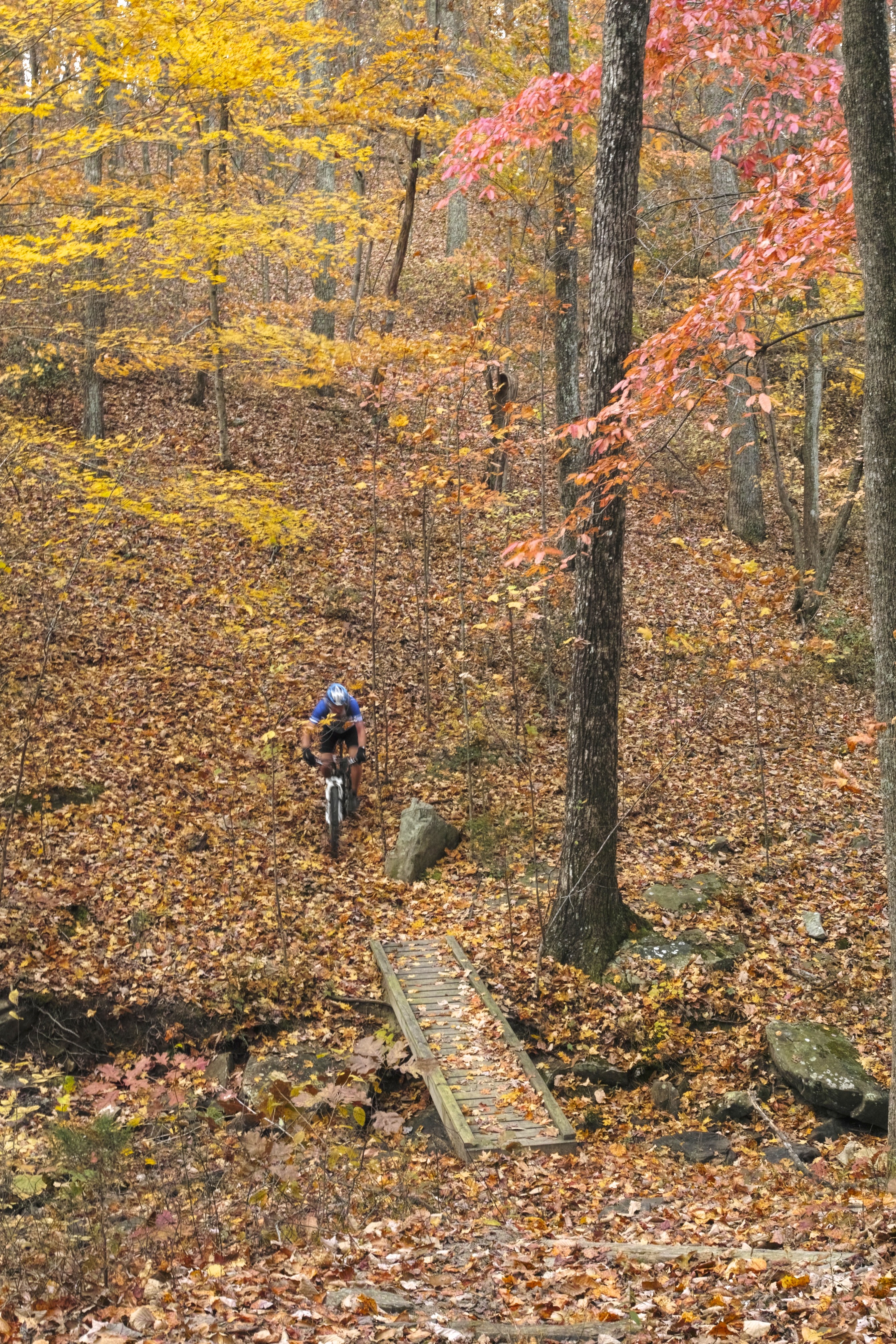 Woody's Bicycles, Sewanee Tn. Service, Sales, Rental