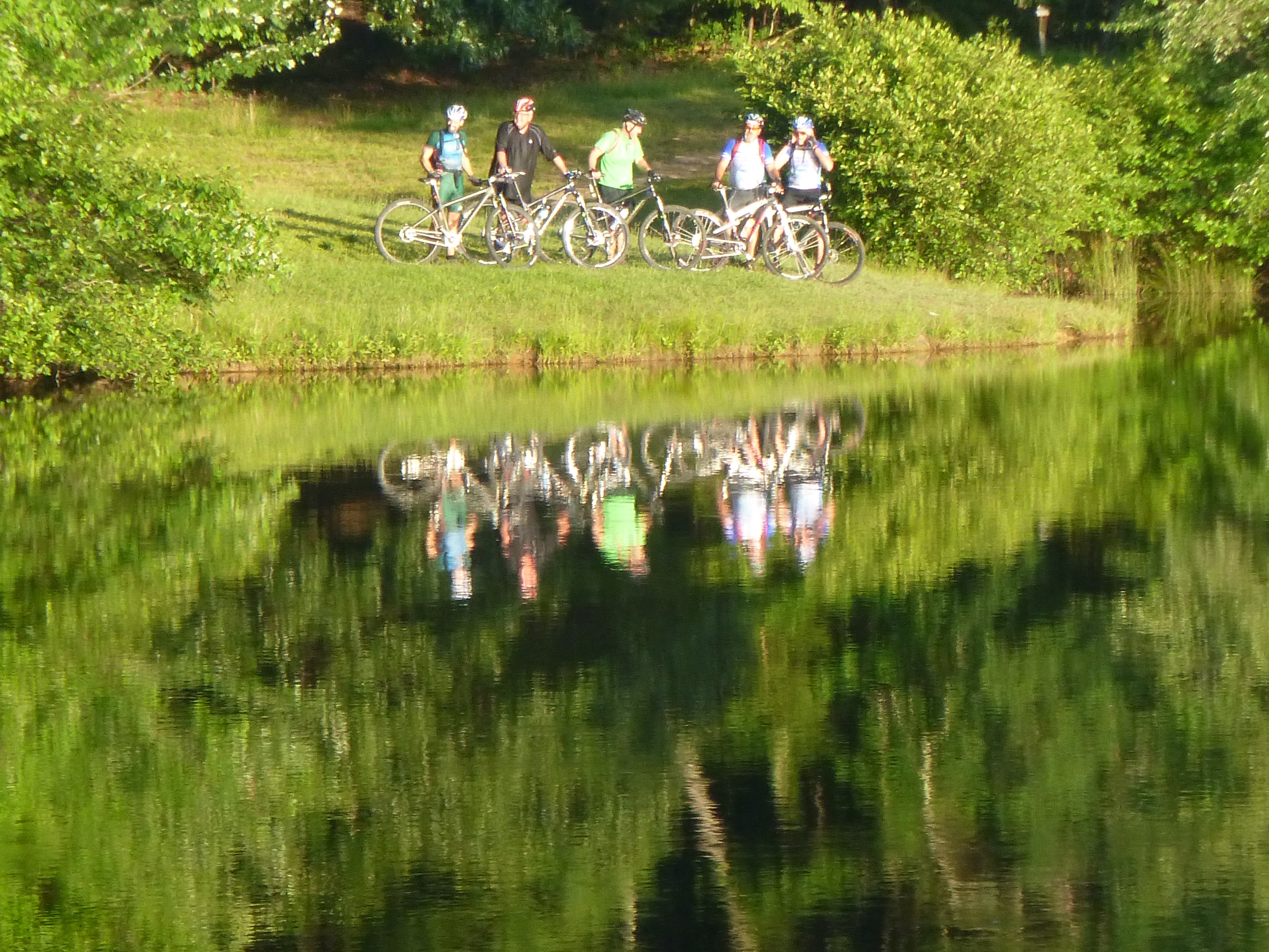 Woody's Bicycles, Sewanee Tn. Service, Sales, Rental