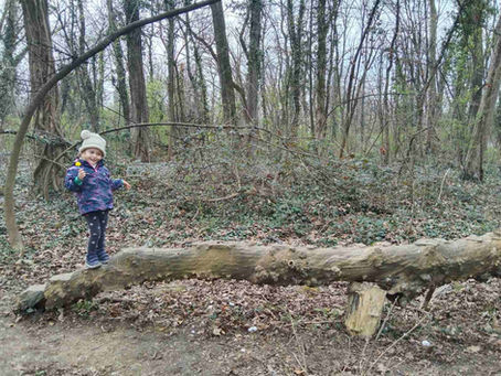 Boravak i igre u prirodi - Kako približiti prirodu gradskoj deci?