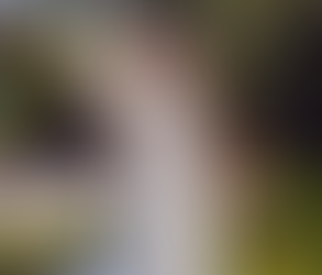 Lillian West Trunk Show at Ever After Bridal April 3–4