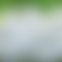 White chairs with cream bows tied on the backs, set up for an outdoor event.