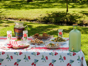 Picnic in the Park