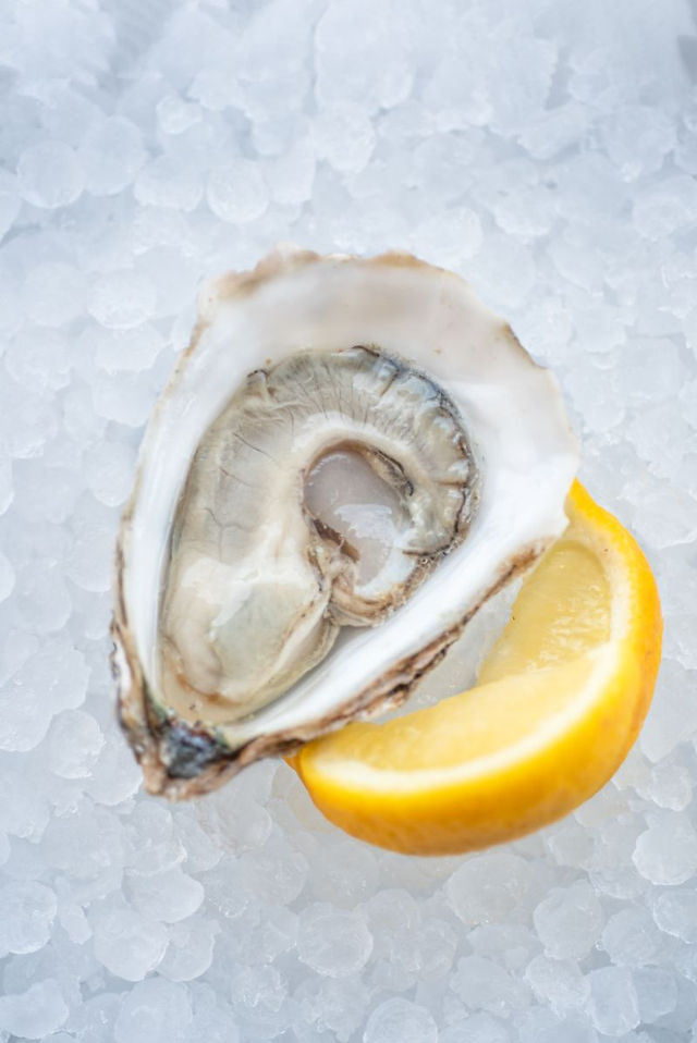 oyster farming