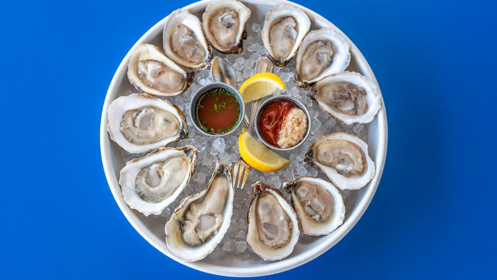 Bivalve Aquaculture: A Case for Oyster Farming