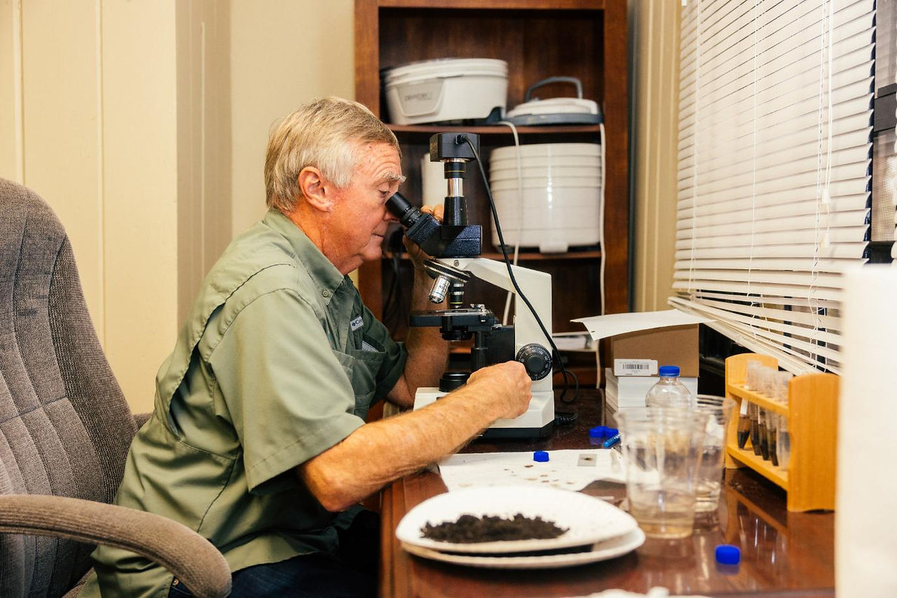 Dr. Allen Skinner at work