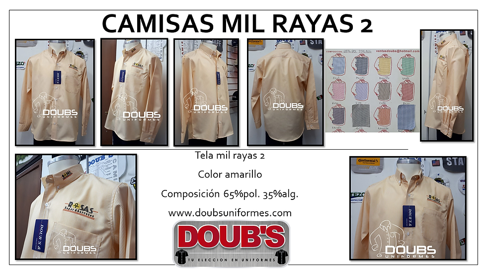 Miniatura: Camisas mil rayas 2 amarillo postal