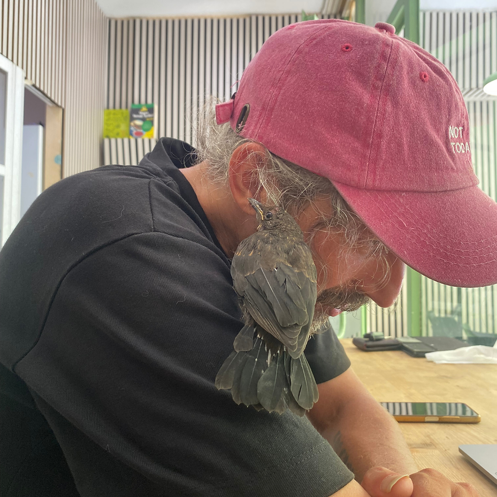 Adsız tasarım (64)