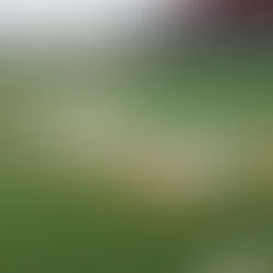 UTRGV Football to open Southland play on the road