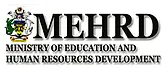 MEHRDSolomonlogo-1.webp