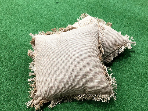 Beige Cushion